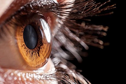 Ces cornées en hydrogel pourraient rendre la vue