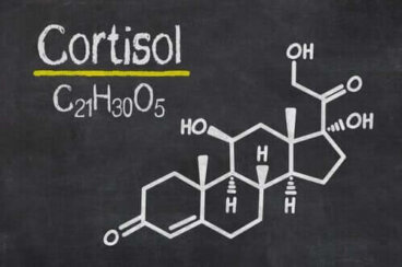 6 signaux d'un taux de cortisol élevé dans l'organisme