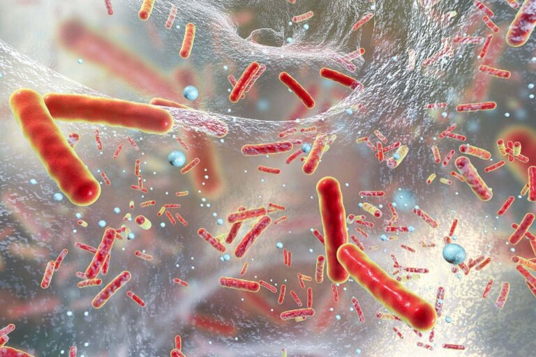 Progrès de la nanomédecine en sciences de la santé