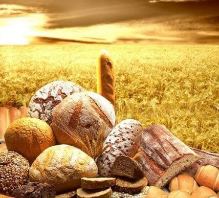 Les apports nutritionnels des céréales