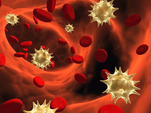 Remèdes pour renforcer votre système immunitaire