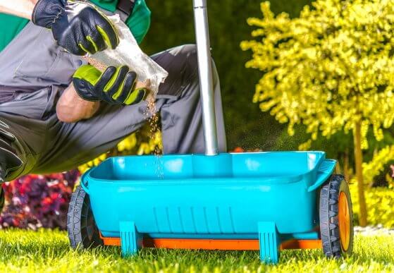 Astuces de jardinage pour nourrir naturellement vos plantes