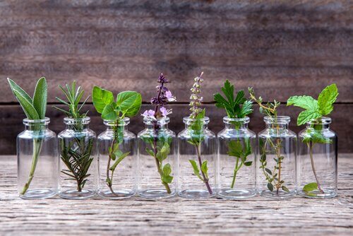 6 types de récipients que vous pouvez recycler pour en faire des pots