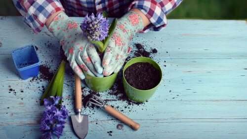 Connaissez-vous les bienfaits de pratiquer une passion ?