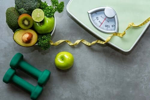 L'alimentation du sportif vegan