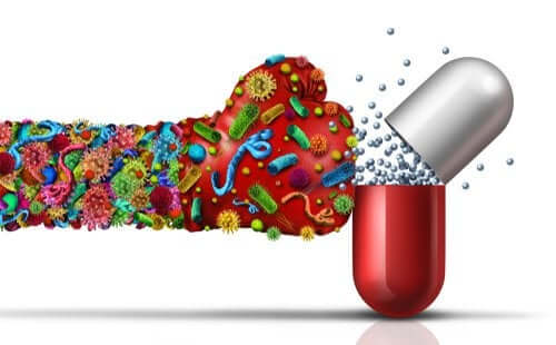 Les antimicrobiens : à quoi servent-ils ?