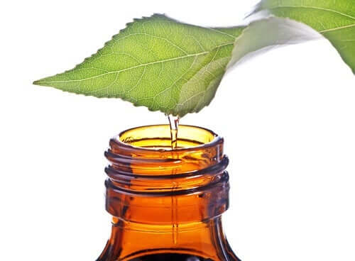 L'acide salicylique, qu'est-ce que c'est ?