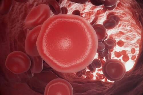 La coagulation : en quoi consiste ce processus ?