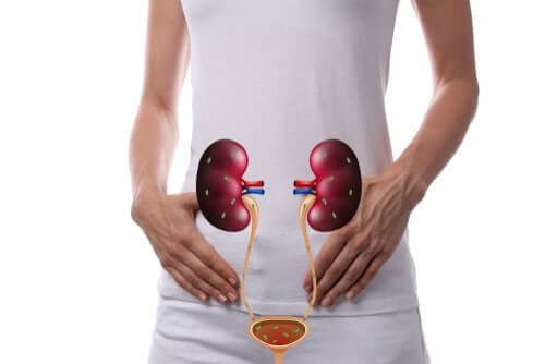 Infections du tractus urinaire (ITU) : symptômes et causes