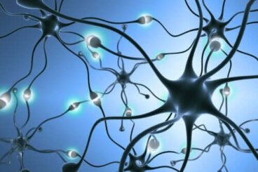 La neurogenèse : comment se forment les nouveaux neurones ?
