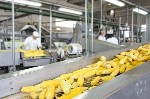 Processus technologiques et valeur nutritive des aliments