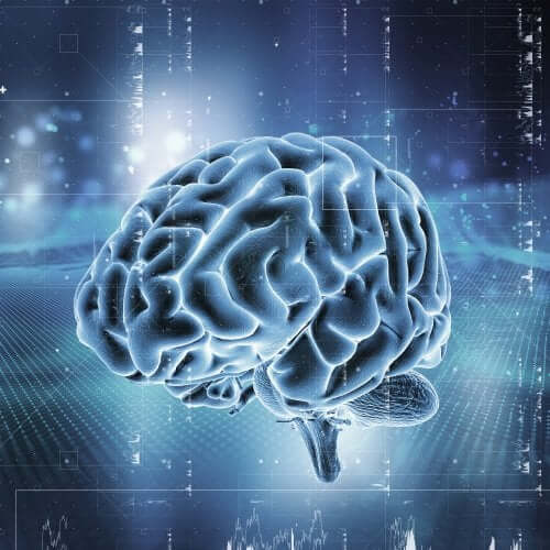 Système de récompense du cerveau : comment fonctionne-t-il ?