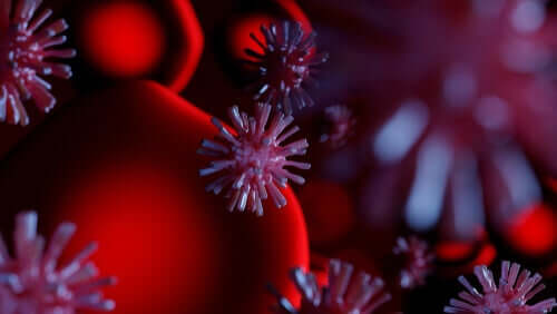 Voici comment le coronavirus infecte les cellules
