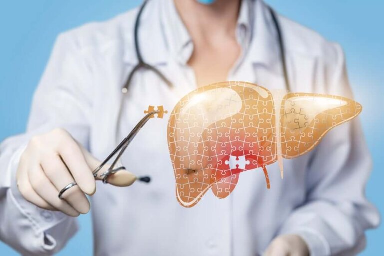 Les maladies du foie