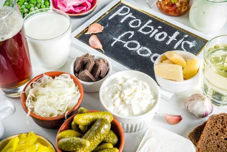 Quelle est la différence entre les prébiotiques et les probiotiques ?