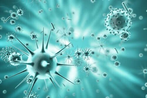 Évolution des virus : un parcours de mutation