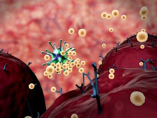 Réponse immunitaire : tout ce qu'il faut savoir