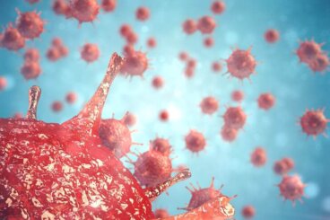 Comment le système immunitaire traite-t-il les infections virales ?