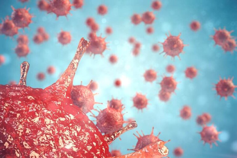 Comment le système immunitaire traite-t-il les infections virales ?
