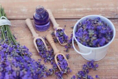 5 remèdes relaxants à la lavande