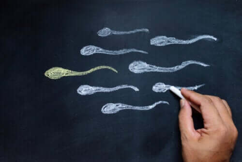 6 moyens d'augmenter la testostérone