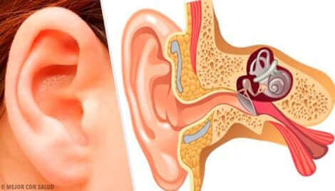 Quelles sont les causes des acouphènes ?