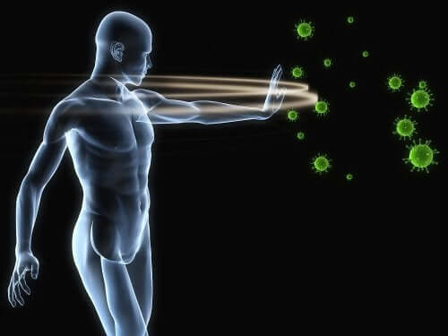 6 habitudes pour renforcer le système immunitaire