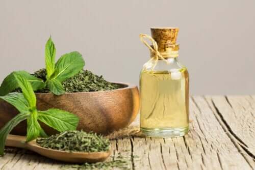 L'huile de menthe aide-t-elle contre le syndrome de l'intestin irritable ?