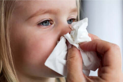 Quelle est la fonction du mucus ?