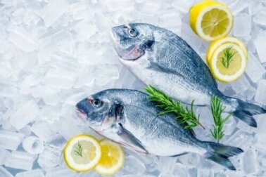 Produits surgelés : tout ce que vous devez savoir