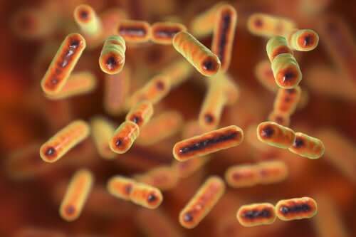 Qu'est-ce que la dysbiose intestinale ?