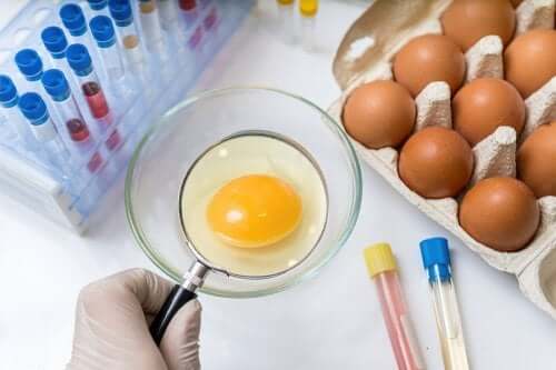 Prévention de la salmonellose