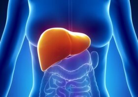 Une nouvelle recherche sur le cancer du foie
