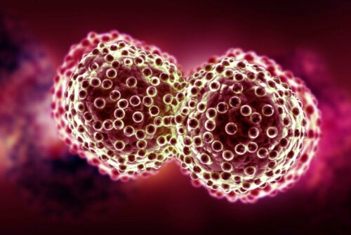 Savez-vous quelles sont les bases génétiques du cancer ?