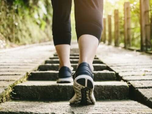 Entraînement cardiovasculaire à faible impact : exercices et recommandations