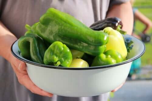 Comment planter des poivrons à la maison ?