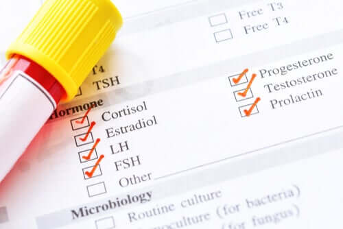 Types d'hormones : quelles sont les plus importantes ?