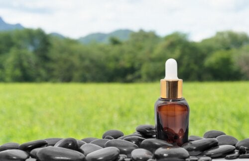Huile de ricin noir jamaïcain : origine et propriétés