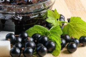 Cassis : valeur nutritionnelle et propriétés