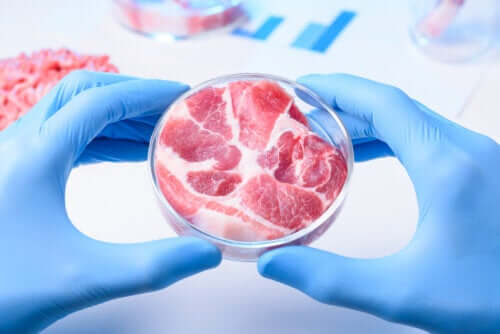Viande synthétique : avantages et inconvénients