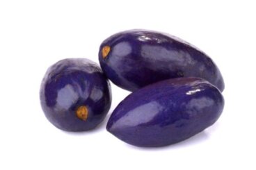 Prunus africanum ou prunier d'Afrique : utilisations, bienfaits et contre-indications