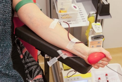 Tout ce que vous devez savoir sur le don de sang