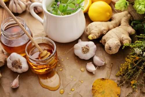 Infusions au miel et aux herbes pour soulager la toux et d'autres désagréments