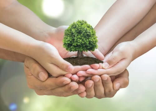 Comment protéger l'environnement ?