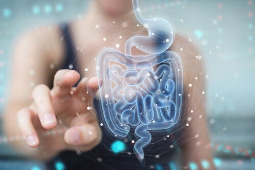La santé intestinale, clé du bien-être : comment y parvenir ?