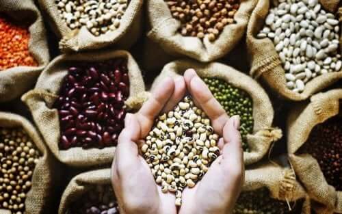 Quelle est la contribution des légumineuses dans l'alimentation ?