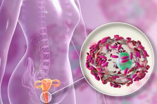 Les probiotiques influencent-ils la flore vaginale ?