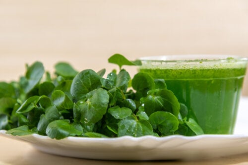 Sirop de cresson : bienfaits et comment le préparer