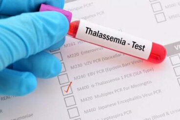 Qu'est-ce que la thalassémie ?