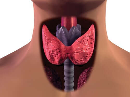 3 façons simples de traiter l'hypothyroïdie